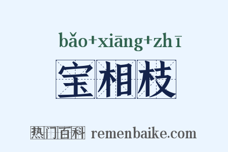 宝相枝是什么意思的图片